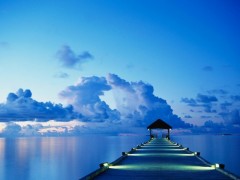bleu-_H121337_L.jpg