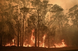 australie,feux.incendies,bush,climat,réchauffement,brulis,forets