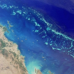 australie,cotail,battiere de corail,récif,résilience