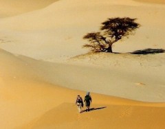 desert-marche.jpg