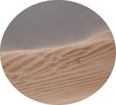désert_sable-4.jpg