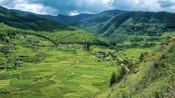 sri lanka,bhoutan,bio.révolution verte,engrais,