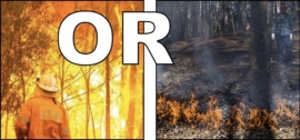australie,feux.incendies,bush,climat,réchauffement,brulis,forets