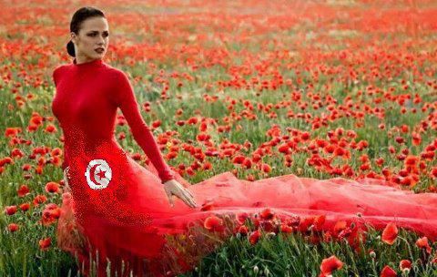 tunisie,constitution,démocratie,liberté,islam,femmes,hommes,égalité,