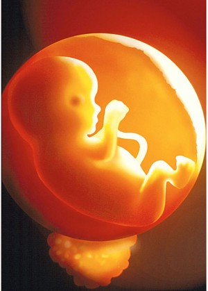 avortement,grossesse,désir,sexualité,reproduction,espèce,liberté,éducation,enfant,landru,parents,adolescents,religion,