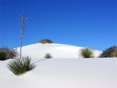 désert-blanc-1.jpg