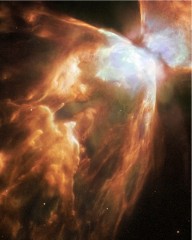 nebulaPapillon4.jpg