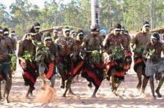danse-aborigene-265950.jpg