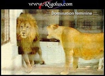 domination_feminine.jpg
