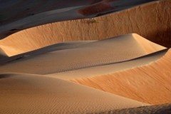 desert-wahiba-334126.jpg