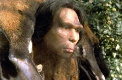 neandertal1-tautavel-homo-erectus-reconstitue.1188637368.jpg