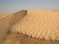 desert-126-jpg.jpg