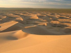 Desert-Mongolia.jpg