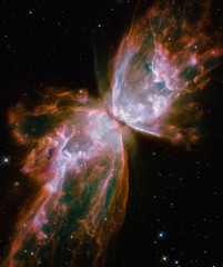 nebulaPapillon3.jpg