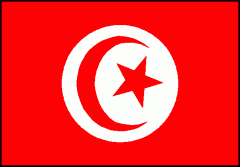 tunisie-drapeau.gif