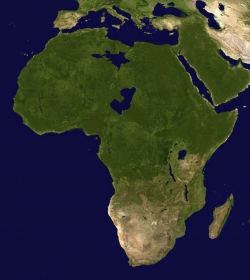 foret,afrique,sahara,holocène,réchauffement,climat