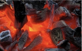charbon,mineurs,silicose,chauffage,cuisson,feu,forges,forêt,métal,bois