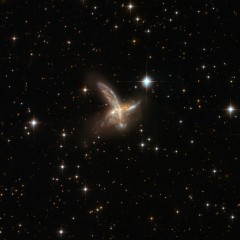 Galaxy ESO 593-8.jpg