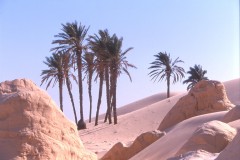 tunisie-désert.JPG